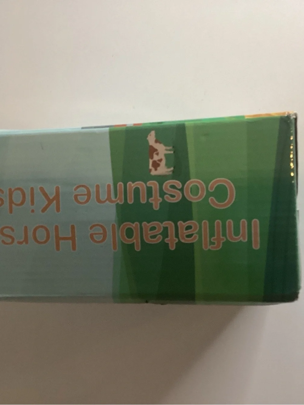 N/A fun inflatable
